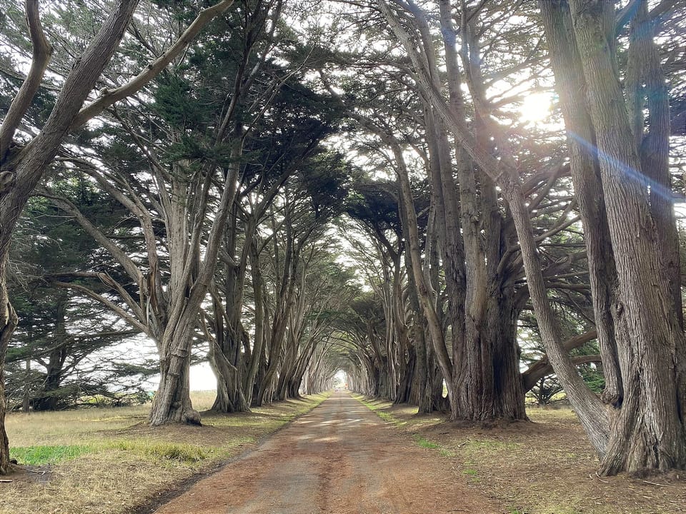 A Whole Wide World of Whimsy Awaits